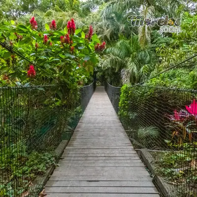 2022 - Balneario las Estacas de Tlaltizapán, Morelos - Fotos del 31 de Diciembre